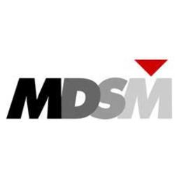 MDSM CONSULTING PTE. LTD.