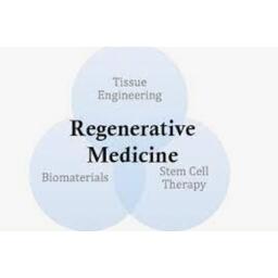 UL CELL THERAPEUTIC PTE. LTD.