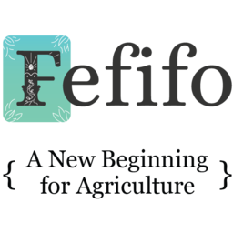 FEFIFO PTE. LTD.