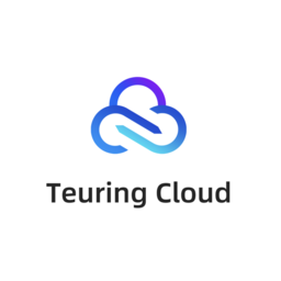 TEURING (SG) AI TECH PTE. LTD.