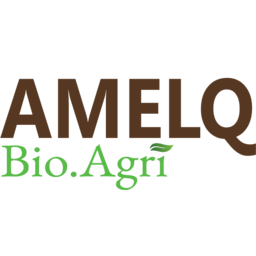 AMELQ HOLDINGS PRIVATE LIMITED